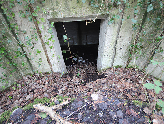 Führerhauptquartier ‘Wolfsschlucht 2’ Flakstellung ‘7’