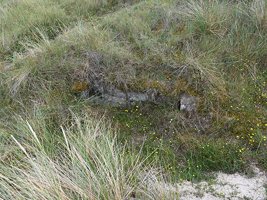 Wn333 St Remy des Landes Plage
