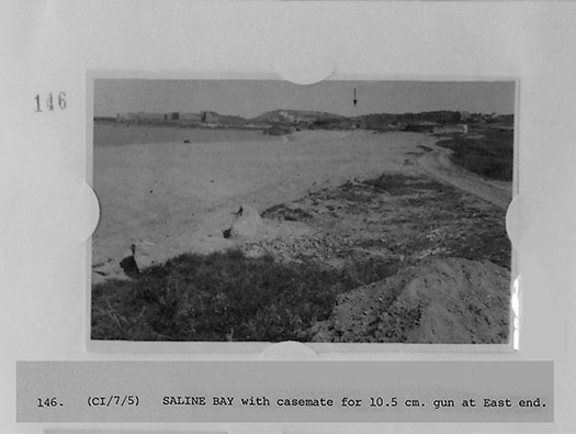 Alderney, M4 Wn 'Dohlenfest'