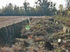 Hole in the ground for a sunken hut.