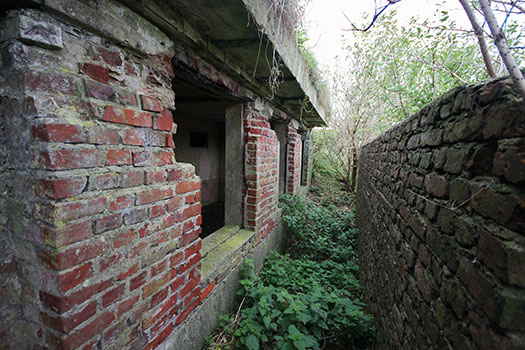 StP Ruine, Mont de Neufchâtel.