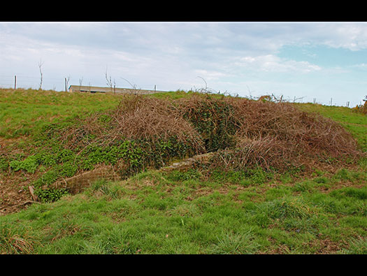 StP026 Batterie West Ecqueville