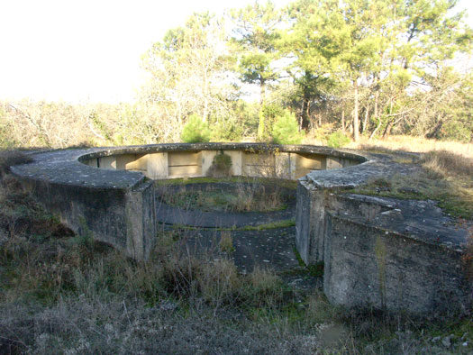 Ro425 ´Kora´, Ro429 'Korola', Ro424 'Käthe', Ile de Ré
