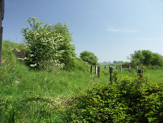 Wn93 St-Clément