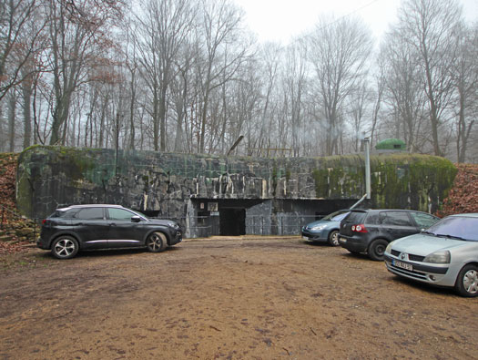 Bois de Boussé (A24), Ligne Maginot 