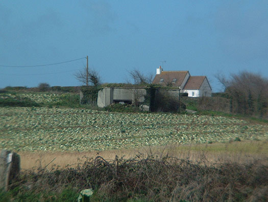 Wn119 Pointe de Landemer La Houe