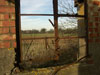 Crittall window.
