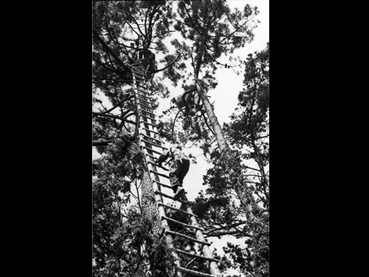 Wn23 Tailleville