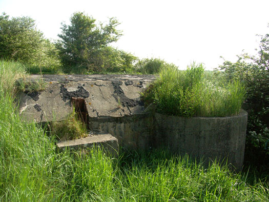 Wn99 Brévands le Châlet
