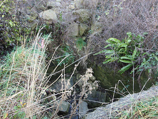 Wn60 Colleville-sur-Mer, (Omaha Beach)