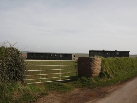 RAF Dale/RNAS Goldcrest