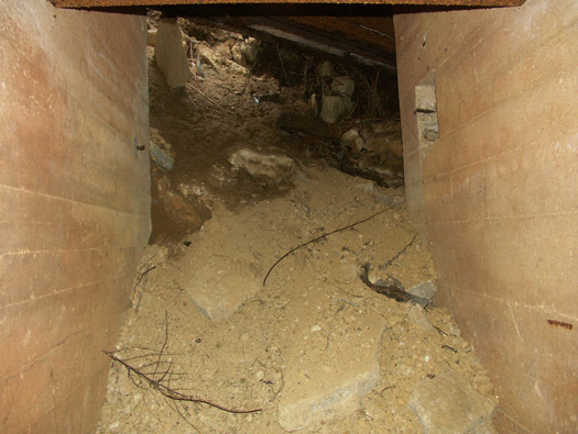 Wn346 Les Asselins la Gouinerie, Omonville la Rogue