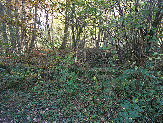 Führerhauptquartier‘Wolfsschlucht 2’ Flakstellung ‘16’