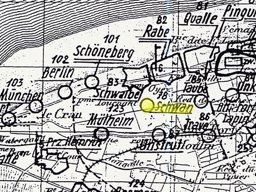 Wn78 Schwan