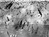 They landed on Sword beach and moved eastwards.