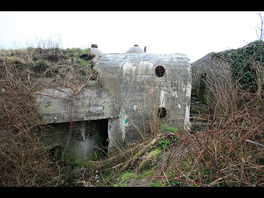 Die06 Château de Dieppe