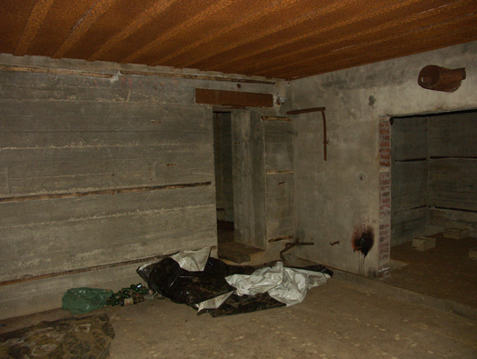 Wn346 Les Asselins la Gouinerie, Omonville la Rogue