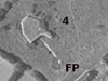 Turm 4 with its Firing Point.