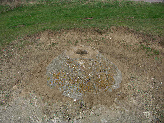 StP207 Fischreiher