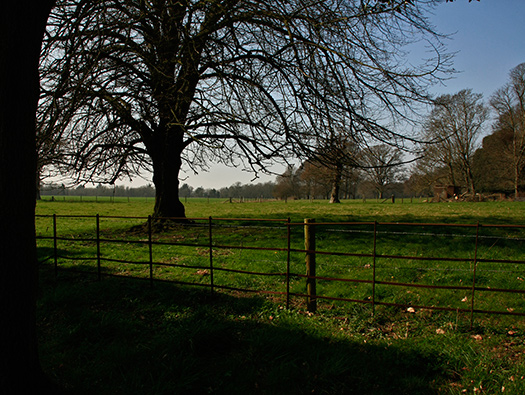 RAF Lymington ALG
