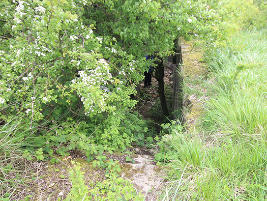 Wn140 Osnabrück, Mont de Couple est