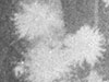 Bomb damage.