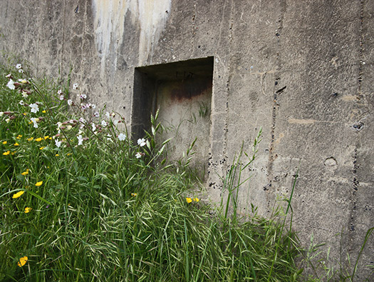 Wn 'Rosamunde'