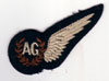 Air gunners wings.
