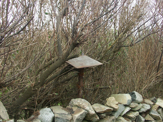 Pointe de Jardeheu  Wn304a