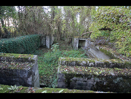 Führerhauptquartier ´Wolfsschlucht 2´ Flakstellung ´B´