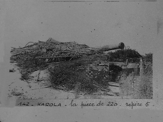 Ro425 ´Kora´, Ro429 'Korola', Ro424 'Käthe', Ile de Ré