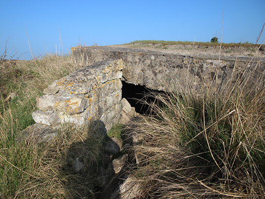 Wn35 Ver-sur-Mer, le Marais