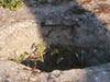 Centre.