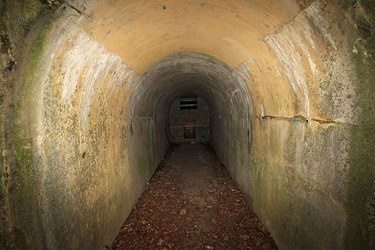 StP Ruine, Mont de Neufchâtel.