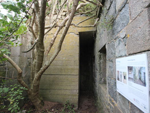 Alderney W 1 StP 'Türkenburg', Victorian Magazine