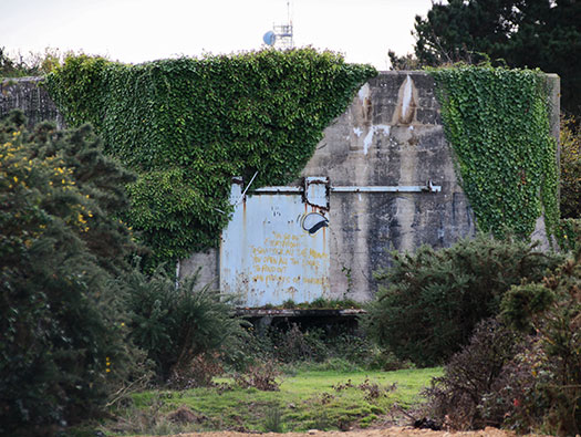 Wn Nz355 Camp de la Torpille