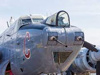 They used to carry two 20mm cannons in the nose.