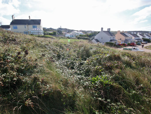 Alderney, M4 Wn 'Dohlenfest'
