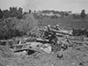 7.5 cm Flak Vickers M.35 (h).