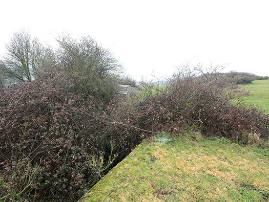 Die010 Mont Robin