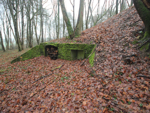 Hobling (A23), Ligne Maginot