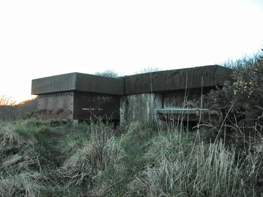 Wn241 Le Fort de Digosville (Fort des Roches)