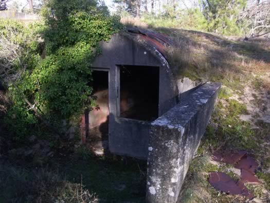 Ro425 ´Kora´, Ro429 'Korola', Ro424 'Käthe', Ile de Ré
