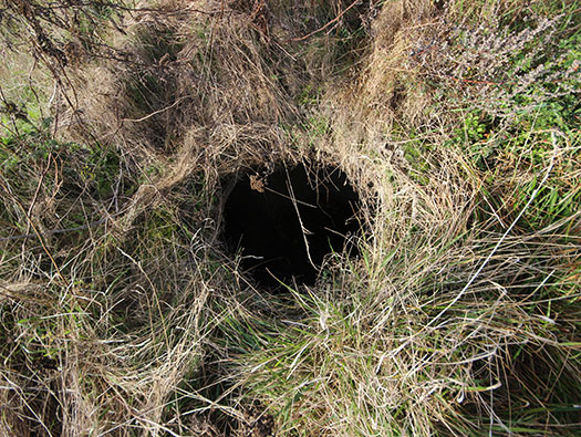 Führerhauptquartier ´Wolfsschlucht 2´ Laffaux