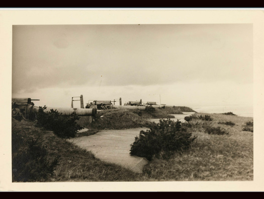 Wn241 Le Fort de Digosville (Fort des Roches)