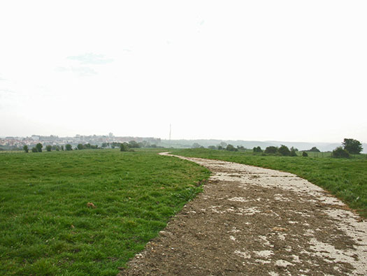 Die010 Mont Robin