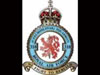 No.310 Sqdn.