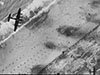 Halifax bombers crossing the coast.