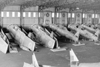 Stored Harvard's.