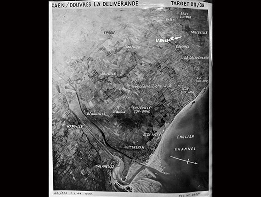 StP Douvres (ii), Distelfink